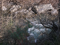 cantara piccole gole19022012 052